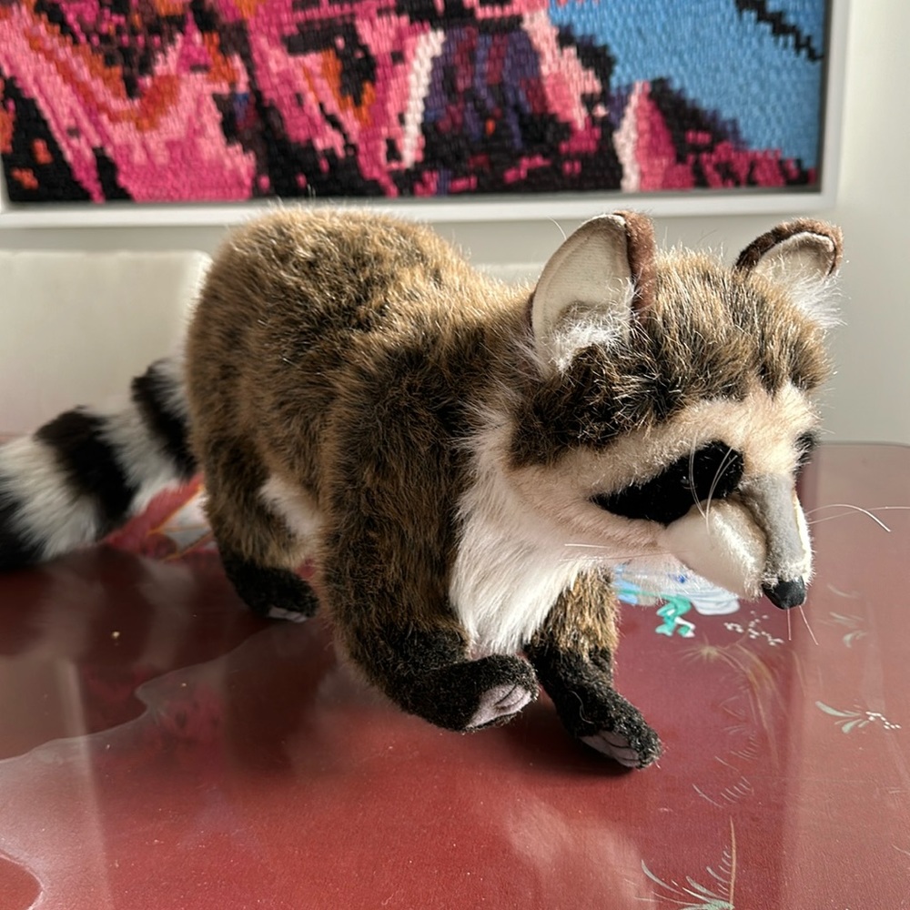 Hansa Raccoon